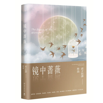 镜中蔷薇 pdf epub mobi 电子书 下载