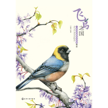 飛鳥之國：一本書掌握炫美彩鉛技法 pdf epub mobi 電子書 下載