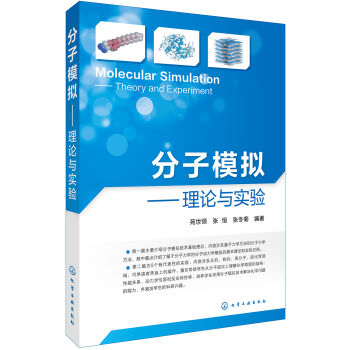 分子模擬——理論與實驗 pdf epub mobi 電子書 下載