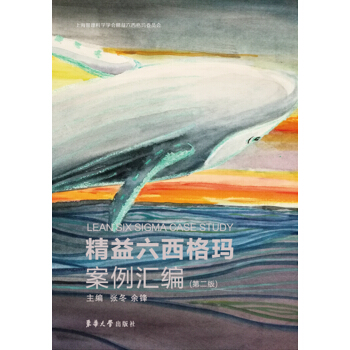 精益六西格瑪案例匯編（第二版） pdf epub mobi 電子書 下載