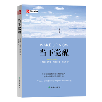 当下觉醒 pdf epub mobi 电子书 下载