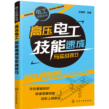电工实战丛书--高压电工技能速成与实战技巧 pdf epub mobi 电子书 下载