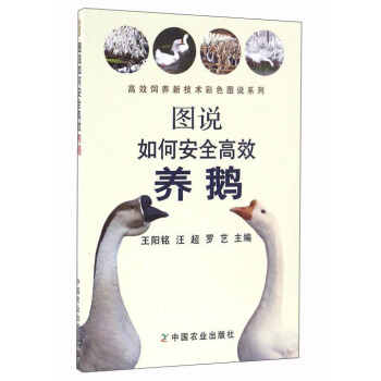 图说如何安全高效养鹅