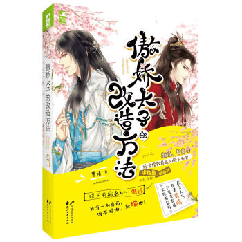 傲娇太子的改造方法 pdf epub mobi 电子书 下载