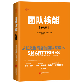 團隊核能（行動版）：從低效到高能的團隊改造術 pdf epub mobi 電子書 下載