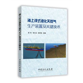 海上浮式液化天然气生产装置及关键技术 pdf epub mobi 电子书 下载