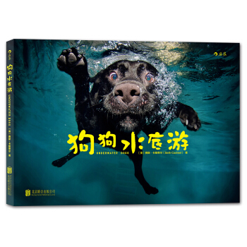 狗狗水底游 pdf epub mobi 电子书 下载