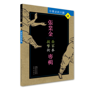 张业金专辑:岳家拳技击术