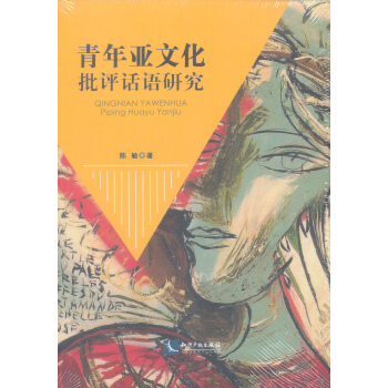 青年亚文化批评话语研究 pdf epub mobi 电子书 下载