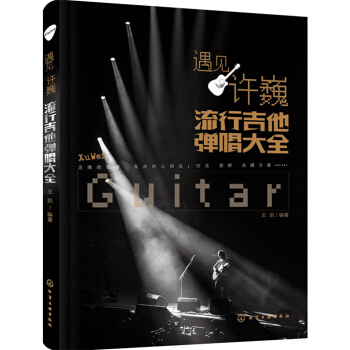 遇見許巍:流行吉他彈唱大全