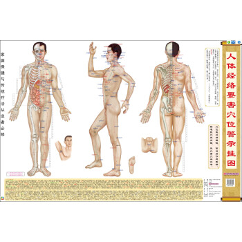 人体经络要害穴位警示挂图/家庭保健疗法 儿童经络穴位图 按摩图 家庭健康养生保健大挂图 pdf epub mobi 电子书 下载