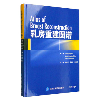 乳房重建图谱 pdf epub mobi 电子书 下载