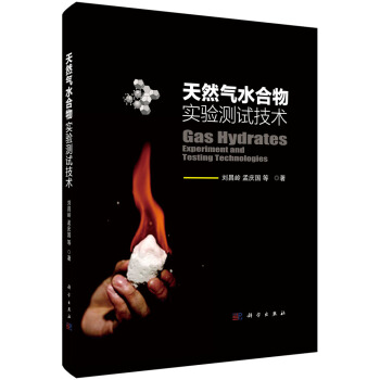 天然氣水閤物實驗測試技術 pdf epub mobi 電子書 下載