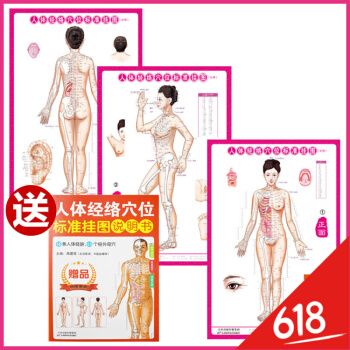 人体经络穴位标准大图册挂图 人体经络图中医挂图 家庭养生保健挂图女性共3张 医学卫生图男性经络 pdf epub mobi 电子书 下载