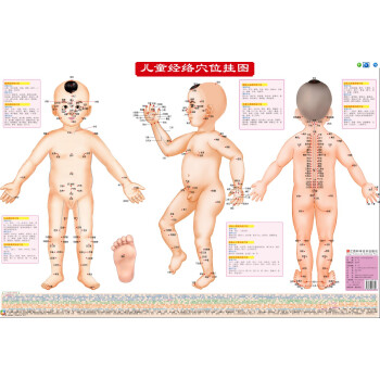 兒童經絡穴位掛圖 中醫保健掛圖 穴位圖 人體經絡要害穴位警示掛圖/傢庭保健療法 pdf epub mobi 電子書 下載