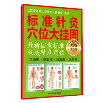 标准针灸穴位大挂图 pdf epub mobi 电子书 下载