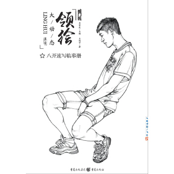 领绘—大动态 pdf epub mobi 电子书 下载