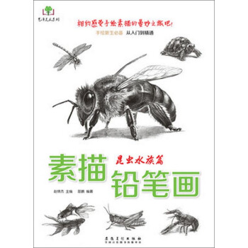 藝澤美術係列 素描鉛筆畫：昆蟲水族篇 pdf epub mobi 電子書 下載