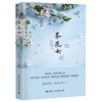 茶花女 pdf epub mobi 电子书 下载