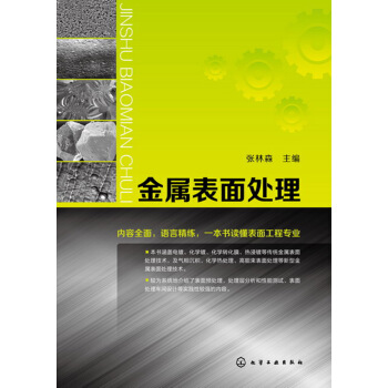 金属表面处理 pdf epub mobi 电子书 下载