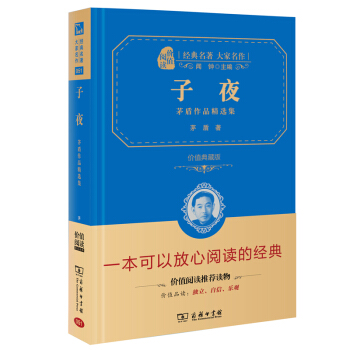 子夜 茅盾作品精選集 經典名著 大傢名作（新課標 無障礙閱讀 全譯本精裝 ） pdf epub mobi 電子書 下載