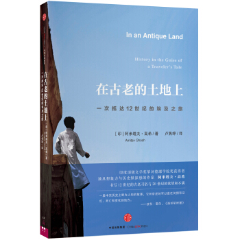 在古老的土地上：一次抵達12世紀的埃及之旅 [In an Antique Land] pdf epub mobi 電子書 下載