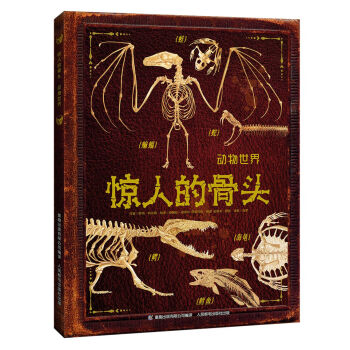 惊人的骨头 动物世界 [6-14岁] pdf epub mobi 电子书 下载
