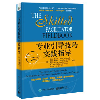专业引导技巧实践指导 pdf epub mobi 电子书 下载