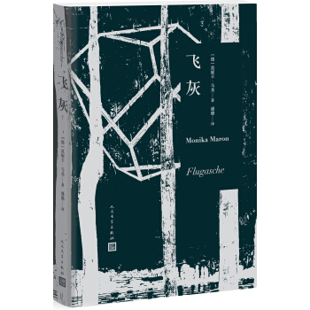 飞灰 pdf epub mobi 电子书 下载