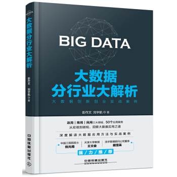 大數據分行業大解析 pdf epub mobi 電子書 下載