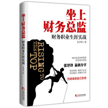 坐上财务总监：财务职业生涯实战 pdf epub mobi 电子书 下载