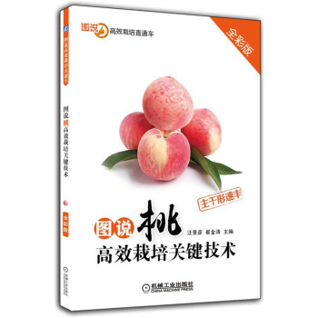 图说桃高效栽培关键技术 pdf epub mobi 电子书 下载