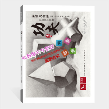 2017功夫素描幾何體 我有我一套係宋艷慧石膏靜物鉛筆素描技法結構藝術繪畫臨摹本經典 pdf epub mobi 電子書 下載