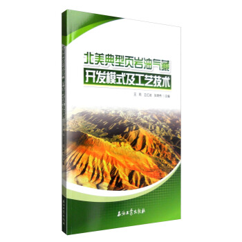 北美典型頁岩油氣藏開發模式及工藝技術 pdf epub mobi 電子書 下載