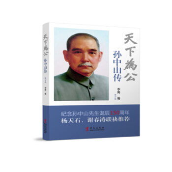 天下为公：孙中山传 pdf epub mobi 电子书 下载