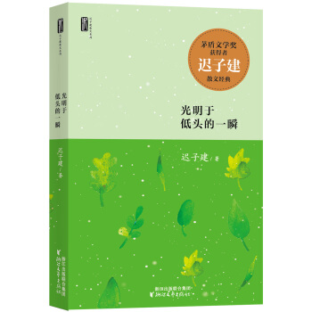 迟子建散文系列：光明于低头的一瞬 pdf epub mobi 电子书 下载
