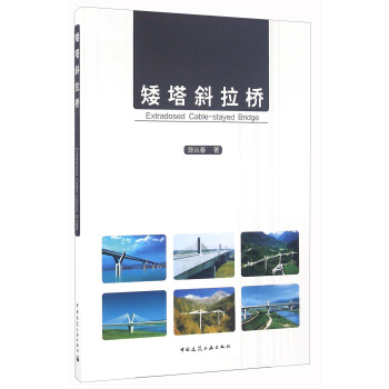 矮塔斜拉橋 pdf epub mobi 電子書 下載