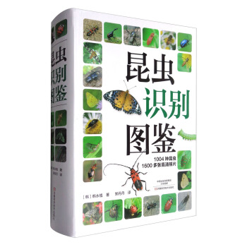 昆蟲識彆圖鑒 pdf epub mobi 電子書 下載