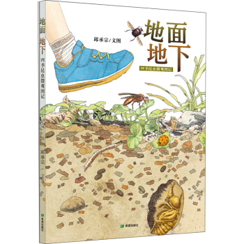 地麵地下（中國原創生態繪本，清華附小老師傾情推薦）耕林 [5-8歲] pdf epub mobi 電子書 下載
