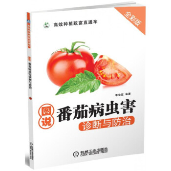图说番茄病虫害诊断与防治(全彩版)/高效种植致富直通车 pdf epub mobi 电子书 下载