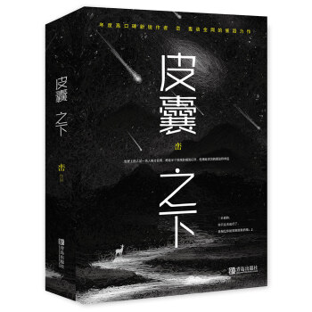 皮囊之下（上下） pdf epub mobi 电子书 下载