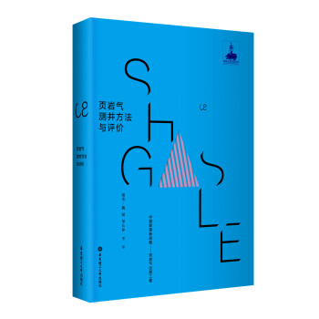 頁岩氣測井方法與評價 pdf epub mobi 電子書 下載