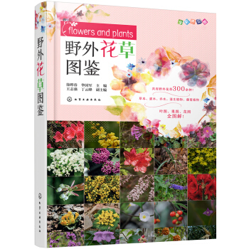 野外花草图鉴 pdf epub mobi 电子书 下载