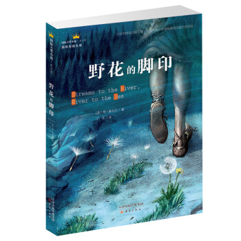 國際大奬小說·成長版——野花的腳印 [11-14歲] pdf epub mobi 電子書 下載