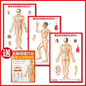 人体经络穴位挂图男性共3张 中医人体经络挂图 家庭保健养生医学 人体医学挂图 pdf epub mobi 电子书 下载