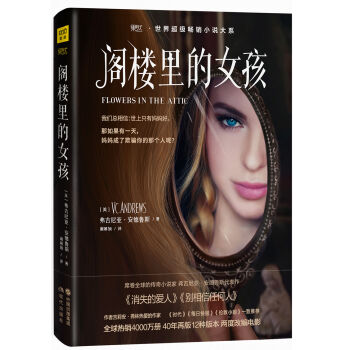 阁楼里的女孩 pdf epub mobi 电子书 下载