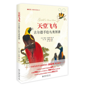 天堂飛鳥 古爾德手繪鳥類圖譜 博物文庫·博物學經典叢書