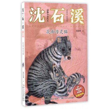 动物小说大王沈石溪:花面母灵猫(注音读本)