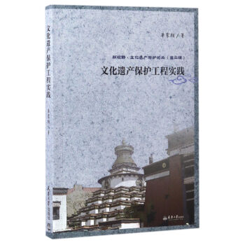 文化遺産保護工程實踐/新視野·文化遺産保護論叢