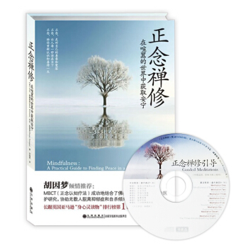含禅修引导CD 正念禅修:在喧嚣的世界中获取安宁佛教书籍 胡因梦倾情推荐 畅销书 正版现货 pdf epub mobi 电子书 下载